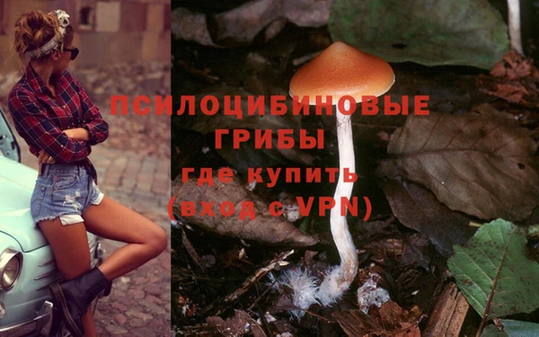 мдпв Семикаракорск