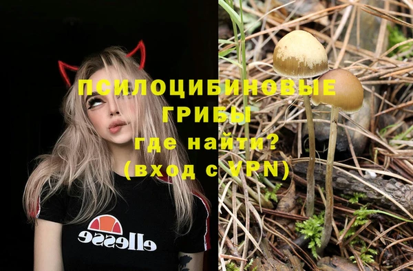 амф Семилуки