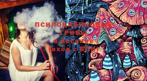 ПСИЛОЦИБИНОВЫЕ ГРИБЫ Семёнов